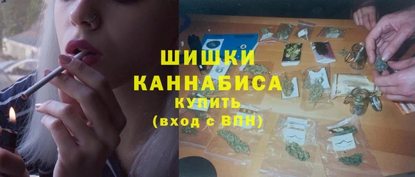 гидра Липки