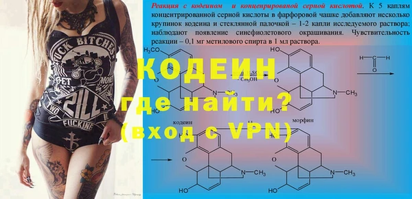 гидра Липки